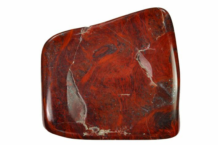 Polished Stromatolite (Collenia) - Minnesota #155589